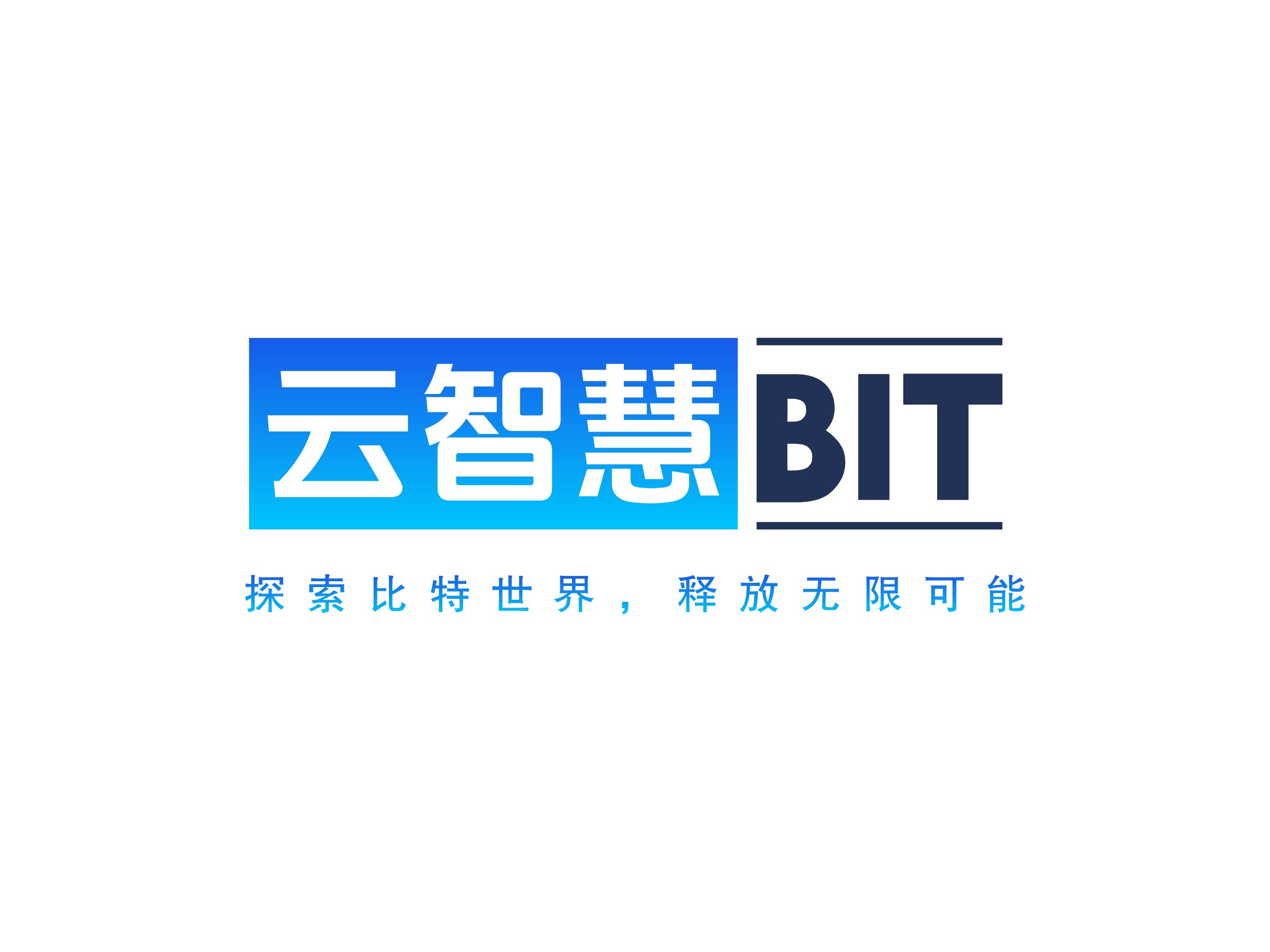 云智慧 BITLOGO設計